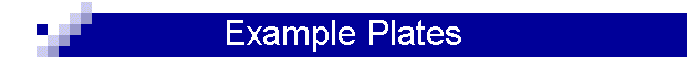 Example Plates