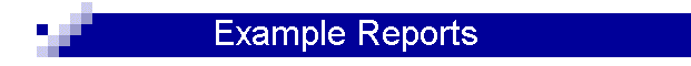 Example Reports