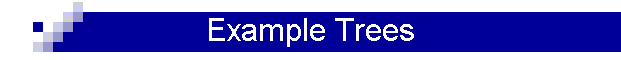 Example Trees